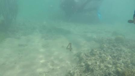 瑞银：上调IBM目标价至125美元 重申“沽售”评级